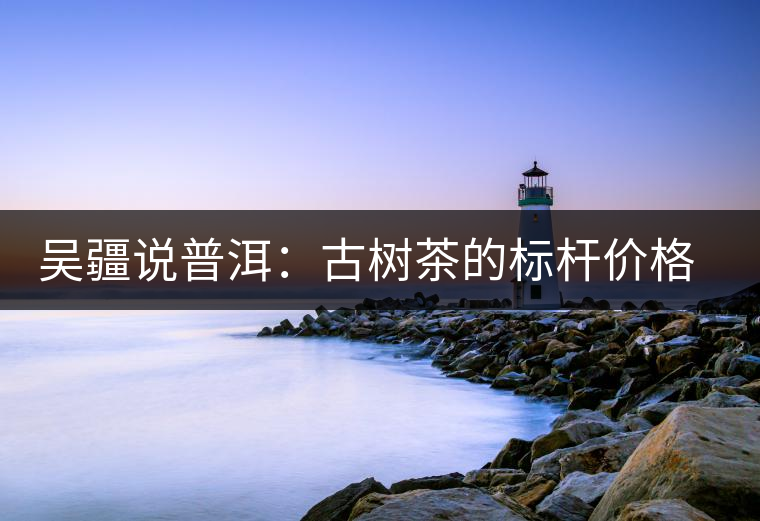 吳疆說(shuō)普洱：古樹(shù)茶的標(biāo)桿價(jià)格在哪里？
