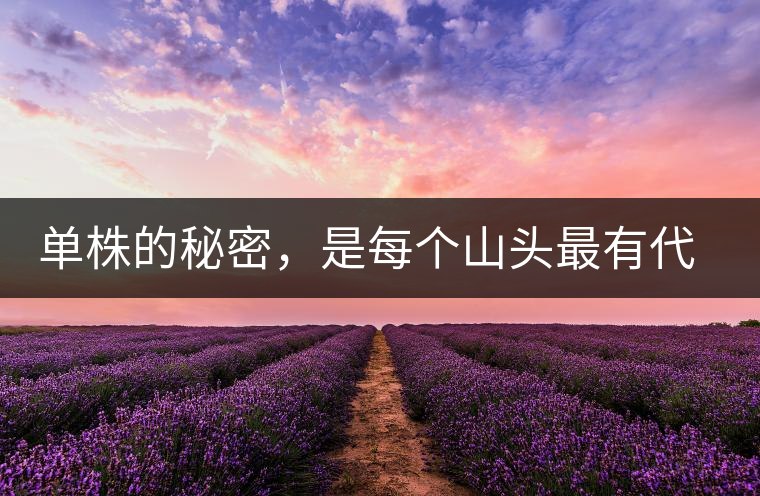 單株的秘密，是每個山頭最有代表性的味道？
