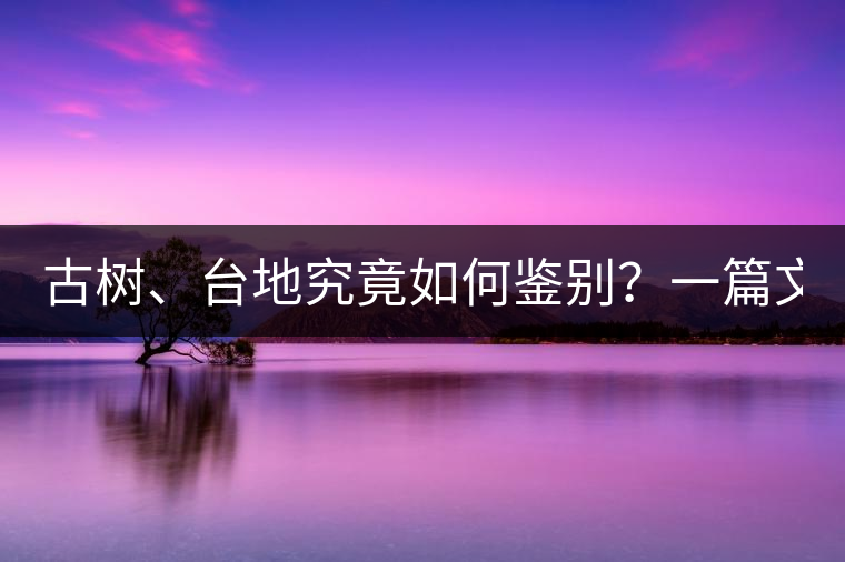 古樹、臺地究竟如何鑒別?一篇文章說透! 古樹、臺地究竟如何鑒別?一篇文章說透!