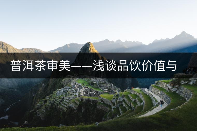 普洱茶審美——淺談品飲價(jià)值與陳化價(jià)值