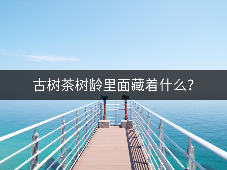 古樹茶樹齡里面藏著什么? 古樹茶樹齡里面藏著什么?