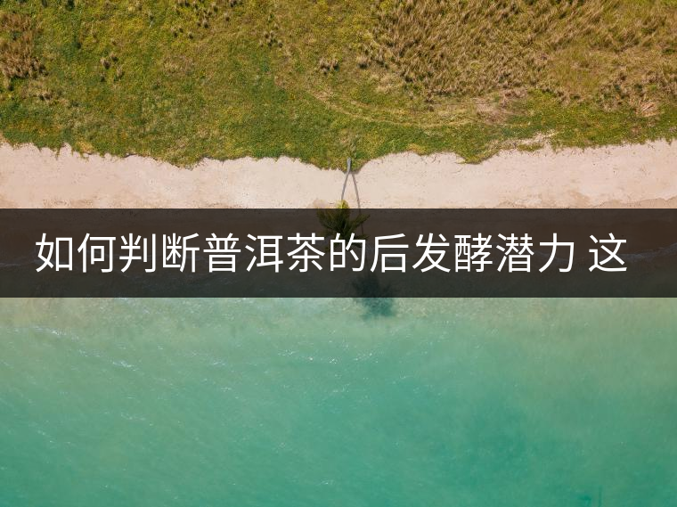 如何判斷普洱茶的后發酵潛力 這幾個要素你必須要知道