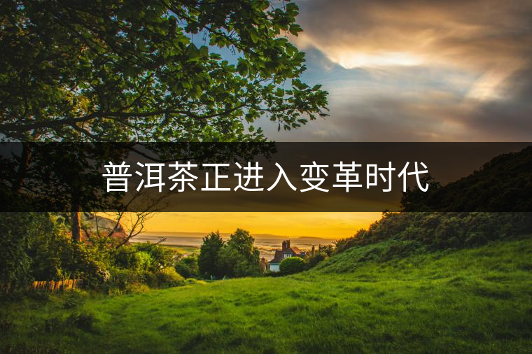 普洱茶正進(jìn)入變革時(shí)代 普洱茶正進(jìn)入變革時(shí)代