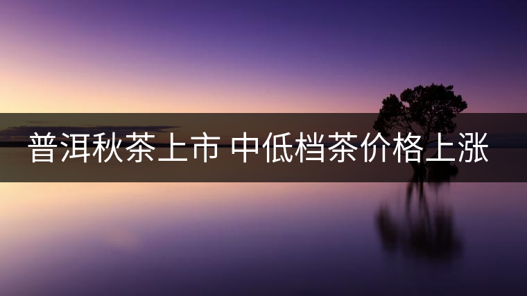 普洱秋茶上市 中低檔茶價格上漲成銷售主力 普洱秋茶上市 中低檔茶價格上漲成銷售主力