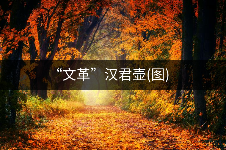 “文革”漢君壺(圖) “文革”漢君壺(圖)