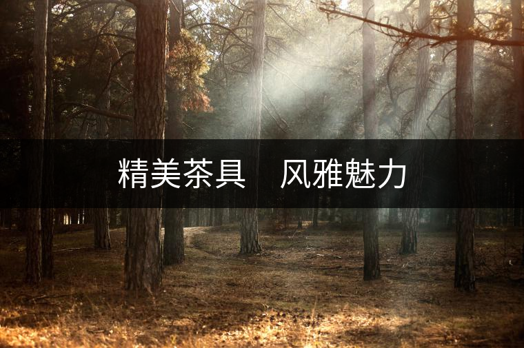 精美茶具 風雅魅力 精美茶具 風雅魅力