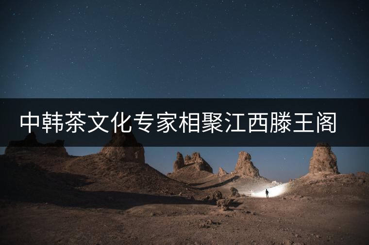 中韓茶文化專家相聚江西滕王閣品茶論道 中韓茶文化專家相聚江西滕王閣品茶論道