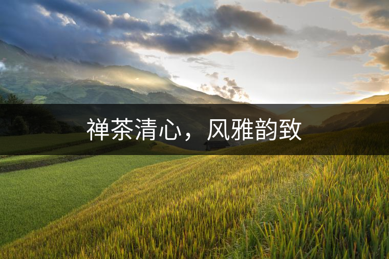 禪茶清心，風(fēng)雅韻致