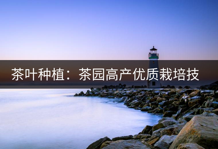 茶葉種植:茶園高產優質栽培技術 茶葉種植:茶園高產優質栽培技術