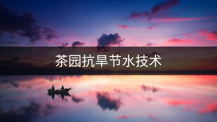 茶園抗旱節水技術