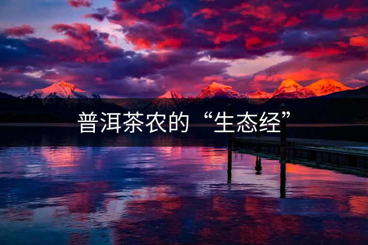 普洱茶農(nóng)的“生態(tài)經(jīng)” 普洱茶農(nóng)的“生態(tài)經(jīng)”