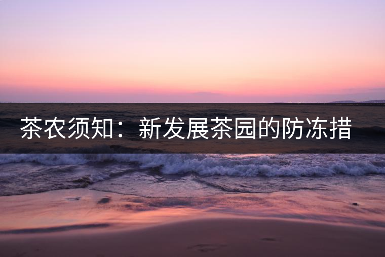 茶農須知:新發展茶園的防凍措施 茶農須知:新發展茶園的防凍措施