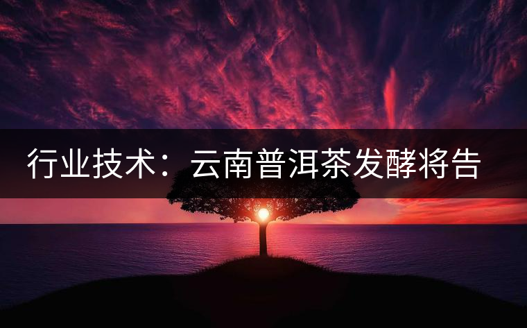 行業技術:云南普洱茶發酵將告別手工翻堆 行業技術:云南普洱茶發酵將告別手工翻堆