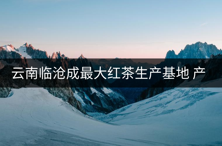 云南臨滄成最大紅茶生產基地 產量占全國20%