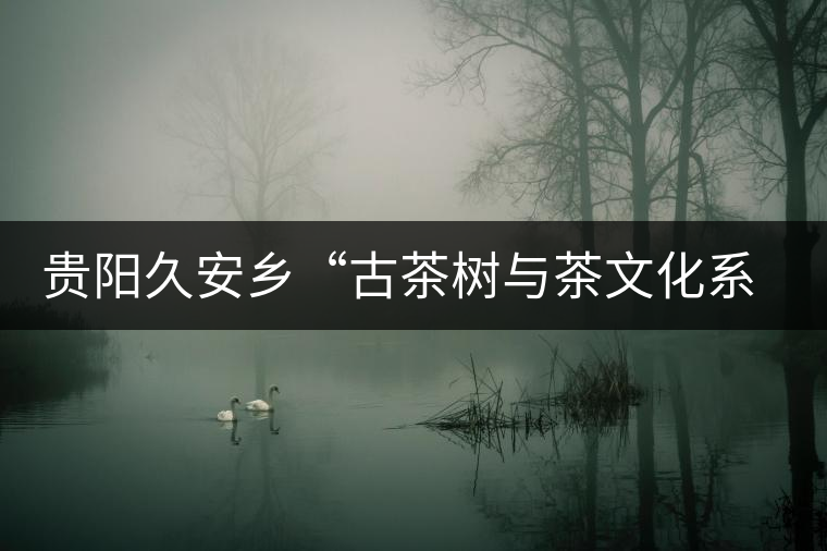 貴陽久安鄉“古茶樹與茶文化系統”入選中國重要文化遺產 貴陽久安鄉“古茶樹與茶文化系統”入選中國重要文化遺產