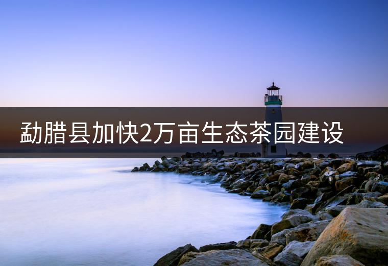 勐臘縣加快2萬畝生態(tài)茶園建設(shè),促進(jìn)茶葉產(chǎn)業(yè)持續(xù)發(fā)展 勐臘縣加快2萬畝生態(tài)茶園建設(shè),促進(jìn)茶葉產(chǎn)業(yè)持續(xù)發(fā)展