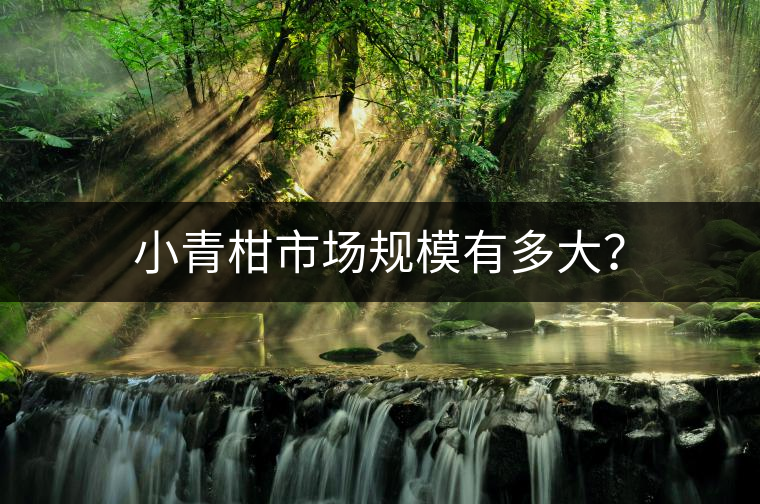 小青柑市場規模有多大? 小青柑市場規模有多大?