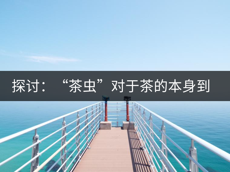 探討:“茶蟲(chóng)”對(duì)于茶的本身到底是好是壞? 探討:“茶蟲(chóng)”對(duì)于茶的本身到底是好是壞?