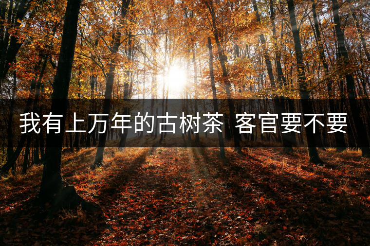 我有上萬年的古樹茶 客官要不要嘗嘗? 我有上萬年的古樹茶 客官要不要嘗嘗?