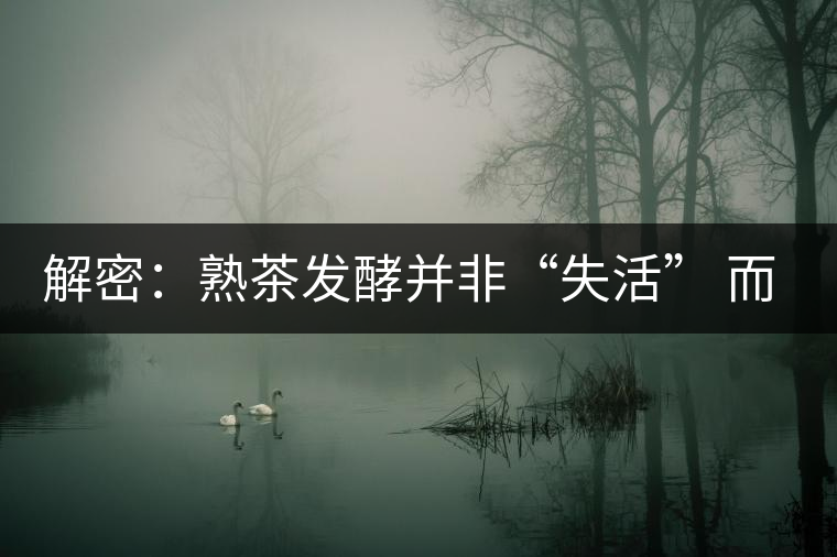 解密:熟茶發酵并非“失活” 而是涅槃后的“重生” 解密:熟茶發酵并非“失活” 而是涅槃后的“重生”
