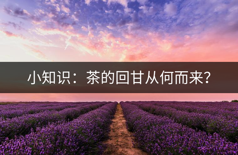 小知識(shí):茶的回甘從何而來(lái)? 小知識(shí):茶的回甘從何而來(lái)?