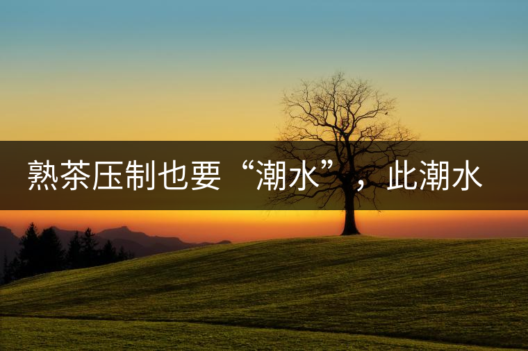 熟茶壓制也要“潮水”,此潮水的目的是什么? 熟茶壓制也要“潮水”,此潮水的目的是什么?