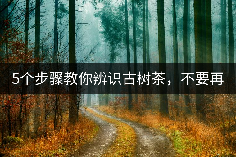 5個步驟教你辨識古樹茶,不要再被騙了! 5個步驟教你辨識古樹茶,不要再被騙了!