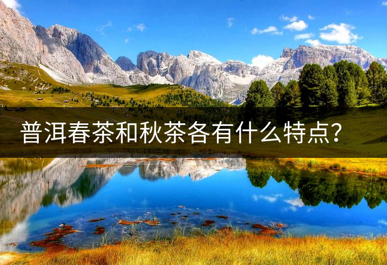 普洱春茶和秋茶各有什么特點？怎樣辨識？