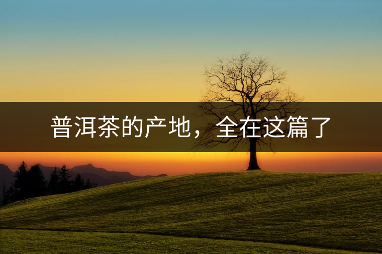 普洱茶的產地，全在這篇了