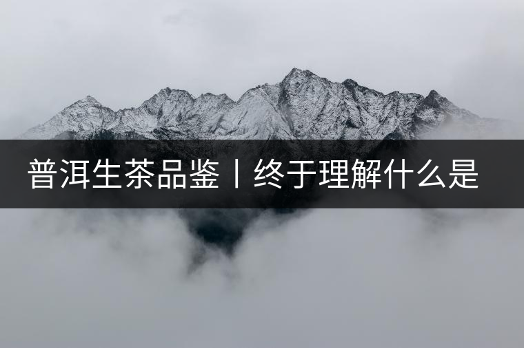 普洱生茶品鑒丨終于理解什么是“醇厚、耐泡,回甘”了 普洱生茶品鑒丨終于理解什么是“醇厚、耐泡,回甘”了