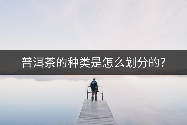 普洱茶的種類是怎么劃分的？