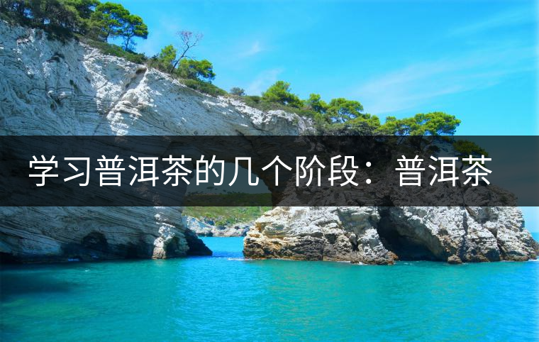 學習普洱茶的幾個階段:普洱茶愛好者進階過程 學習普洱茶的幾個階段:普洱茶愛好者進階過程