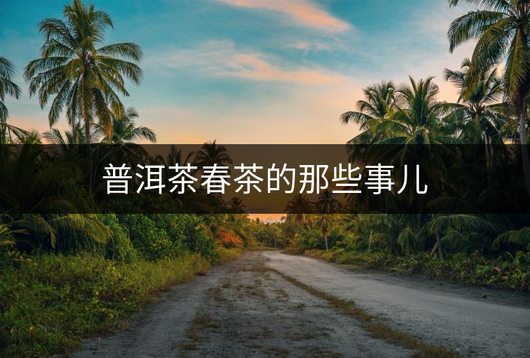 普洱茶春茶的那些事兒