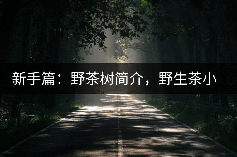 新手篇:野茶樹簡介,野生茶小知識 新手篇:野茶樹簡介,野生茶小知識