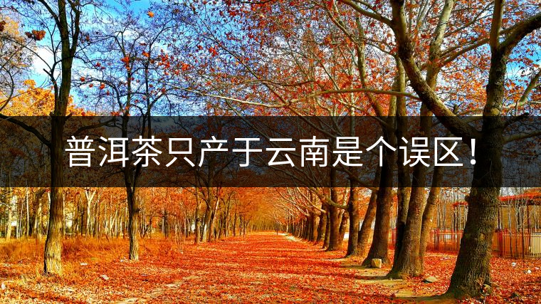 普洱茶只產于云南是個誤區! 普洱茶只產于云南是個誤區!