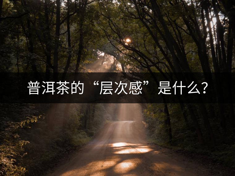 普洱茶的“層次感”是什么? 普洱茶的“層次感”是什么?