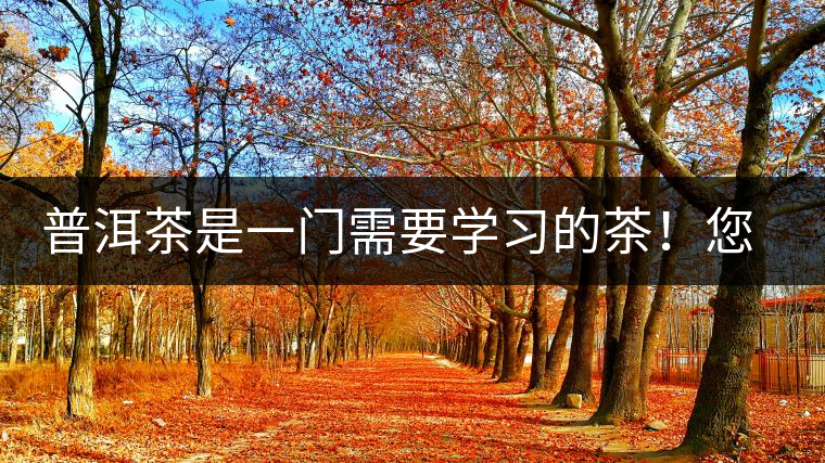普洱茶是一門需要學習的茶!您學到了多少?看看專家怎么說 普洱茶是一門需要學習的茶!您學到了多少?看看專家怎么說