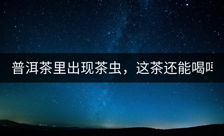 普洱茶里出現茶蟲，這茶還能喝嗎？