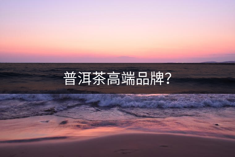 普洱茶高端品牌？