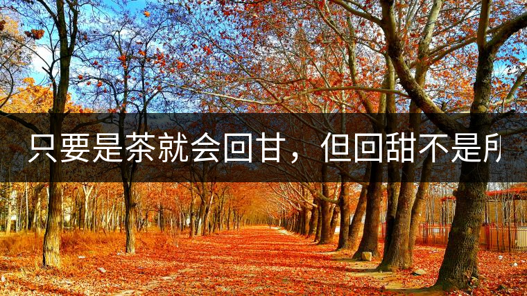 只要是茶就會回甘，但回甜不是所有茶都有！