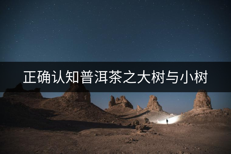 正確認知普洱茶之大樹與小樹 正確認知普洱茶之大樹與小樹