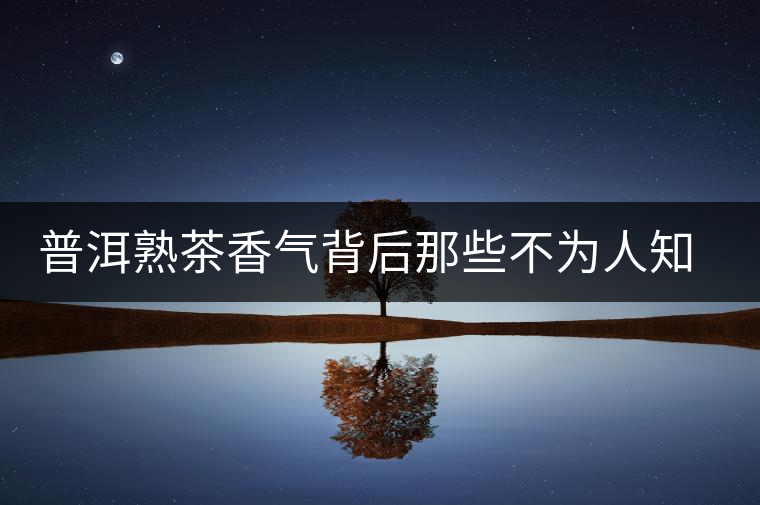 普洱熟茶香氣背后那些不為人知的秘密