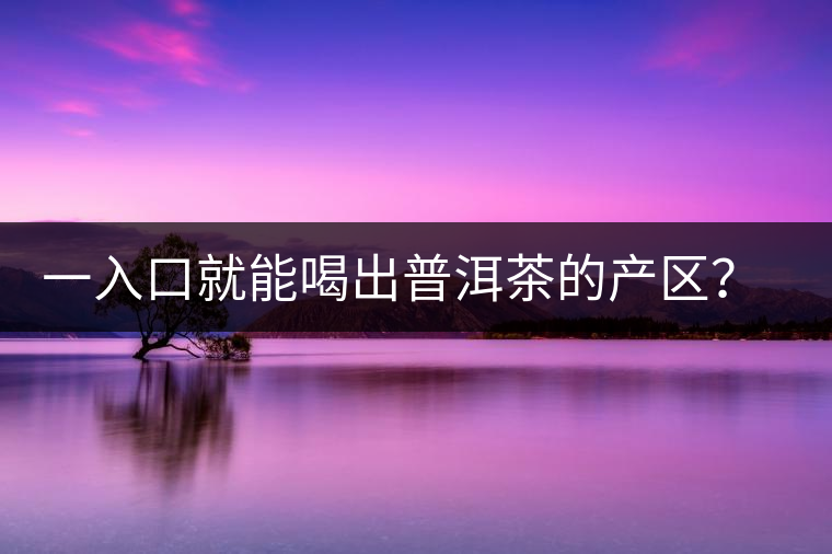 一入口就能喝出普洱茶的產區?怎么能不讀這篇文章呢? 一入口就能喝出普洱茶的產區?怎么能不讀這篇文章呢?