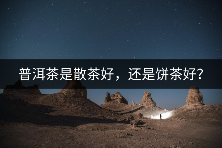 普洱茶是散茶好，還是餅茶好？