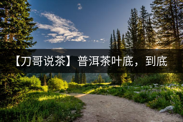 【刀哥說茶】普洱茶葉底，到底藏有多少玄機？