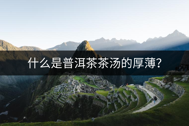 什么是普洱茶茶湯的厚薄？