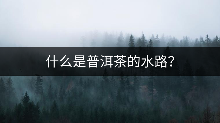 什么是普洱茶的水路? 什么是普洱茶的水路?