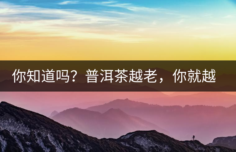 你知道嗎？普洱茶越老，你就越年輕