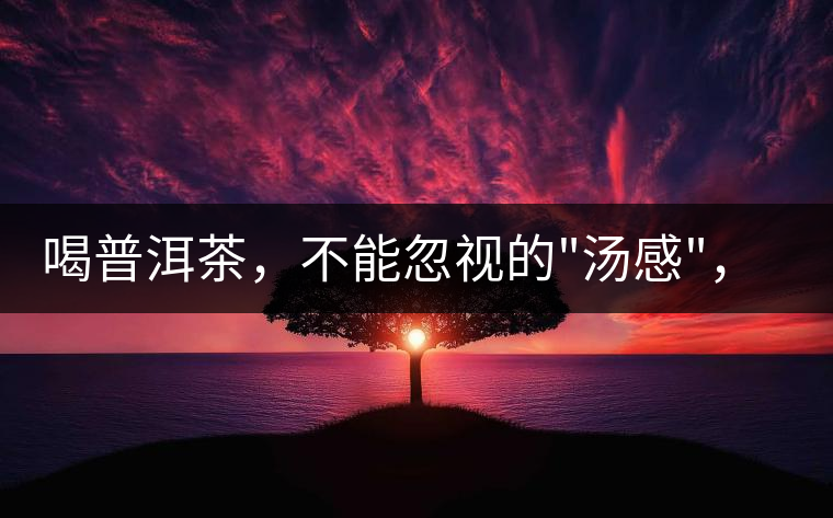 喝普洱茶,不能忽視的 喝普洱茶,不能忽視的