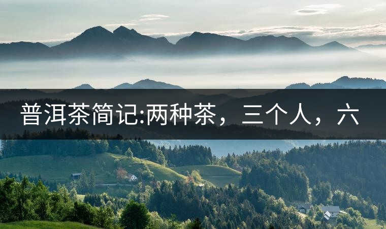 普洱茶簡記:兩種茶，三個人，六座山，七塊餅